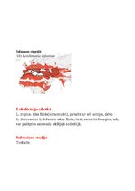 Konspekts 'Tropiskā parazitoloģija', 8.