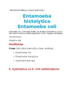 Konspekts 'Tropiskā parazitoloģija', 12.