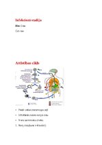 Konspekts 'Tropiskā parazitoloģija', 14.
