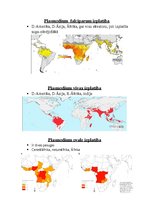 Konspekts 'Tropiskā parazitoloģija', 20.
