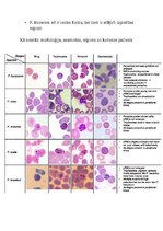 Konspekts 'Tropiskā parazitoloģija', 32.