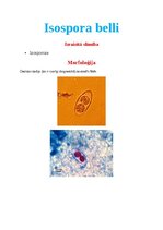 Konspekts 'Tropiskā parazitoloģija', 35.