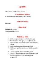 Konspekts 'Tropiskā parazitoloģija', 36.