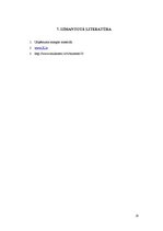 Prakses atskaite 'Ievadprakse izmitināšanas uzņēmumā "X"', 20.