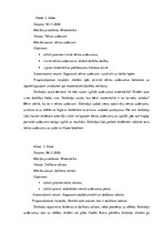 Prakses atskaite 'Aktīvā mācību audzināšanas prakse sākumskolā', 26.