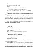 Prakses atskaite 'Aktīvā mācību audzināšanas prakse sākumskolā', 28.