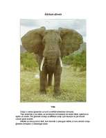 Konspekts 'Āfrikas zilonis', 1.