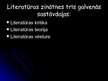Prezentācija 'Literatūra', 3.