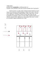 Paraugs '9.klases ieskaites darbs sportā. Stafetes un rotaļas', 5.