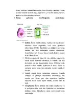 Konspekts 'Histoloģija, pastāvīgais darbs, LU.1.Med.koledža', 2.