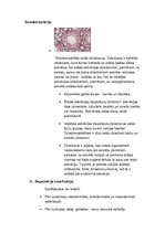 Konspekts 'Histoloģija, pastāvīgais darbs, LU.1.Med.koledža', 9.