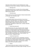 Konspekts 'Histoloģija, pastāvīgais darbs, LU.1.Med.koledža', 21.