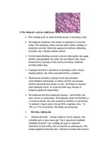 Konspekts 'Histoloģija, pastāvīgais darbs, LU.1.Med.koledža', 25.