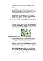 Konspekts 'Histoloģija, pastāvīgais darbs, LU.1.Med.koledža', 28.