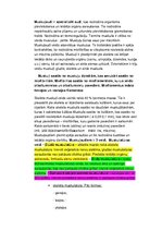 Konspekts 'Histoloģija, pastāvīgais darbs, LU.1.Med.koledža', 31.