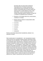 Konspekts 'Histoloģija, pastāvīgais darbs, LU.1.Med.koledža', 33.