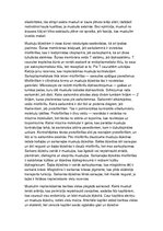 Konspekts 'Histoloģija, pastāvīgais darbs, LU.1.Med.koledža', 34.