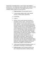 Konspekts 'Histoloģija, pastāvīgais darbs, LU.1.Med.koledža', 36.