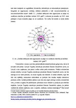 Diplomdarbs 'Inovatīvo risinājumu iespējas e-komercijas attīstībā Latvijā', 26.