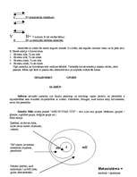 Konspekts 'Vispārīgā psiholoģija', 29.