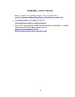 Referāts 'Azartspēļu uzņēmuma SIA "Furors" stratēģija un attīstības plāns', 12.