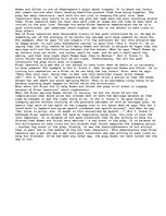 Eseja 'Romeo and Juliet paper who caused the tragedy', 1.