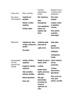 Paraugs 'Dienas rits - bērna vajadzības', 1.