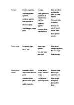 Paraugs 'Dienas rits - bērna vajadzības', 2.