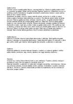 Referāts 'Pusdienu ēdienkarte, galda klājums', 1.