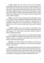 Referāts 'Kartupeļu ražošanas ekonomika', 12.