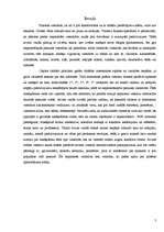 Referāts 'Viesnīcu neparastāko pakalpojumu raksturojums', 3.