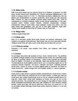 Referāts 'Senlatviešu dievības, gadskārtas, senlatviešu mūzika un rakstu zīmes, viduslaiku', 3.