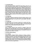 Referāts 'Senlatviešu dievības, gadskārtas, senlatviešu mūzika un rakstu zīmes, viduslaiku', 4.