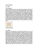 Referāts 'Senlatviešu dievības, gadskārtas, senlatviešu mūzika un rakstu zīmes, viduslaiku', 7.