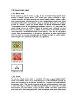 Referāts 'Senlatviešu dievības, gadskārtas, senlatviešu mūzika un rakstu zīmes, viduslaiku', 20.