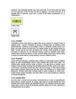 Referāts 'Senlatviešu dievības, gadskārtas, senlatviešu mūzika un rakstu zīmes, viduslaiku', 21.