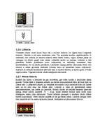 Referāts 'Senlatviešu dievības, gadskārtas, senlatviešu mūzika un rakstu zīmes, viduslaiku', 22.