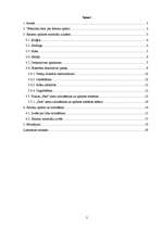 Referāts 'Mūra sienu apdare', 2.