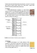 Referāts 'Mūra sienu apdare', 4.