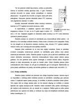 Referāts 'Mūra sienu apdare', 13.