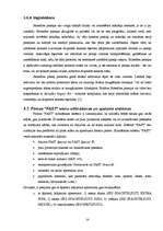 Referāts 'Mūra sienu apdare', 14.