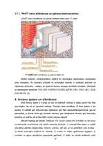 Referāts 'Mūra sienu apdare', 16.