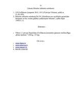 Referāts 'Aizbildniecība', 19.