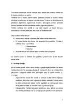 Referāts 'Vadīšanas stili. Dažādu vadītāju stilu analīze', 5.