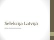 Prezentācija 'Selekcija Latvijā', 1.