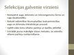 Prezentācija 'Selekcija Latvijā', 3.