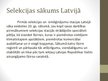 Prezentācija 'Selekcija Latvijā', 5.