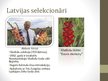 Prezentācija 'Selekcija Latvijā', 8.
