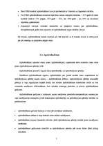 Referāts 'Apdrošināšana un AAS "BTA" ekonomiskā attīstība', 4.