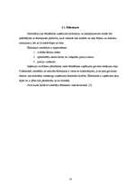 Referāts 'Restorāna "Lielupīte" tehnoloģiskais projekts', 10.